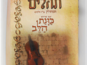 תהילים המחולק