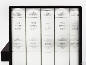 סט מחזורים 'עבודת השם' דמוי עור